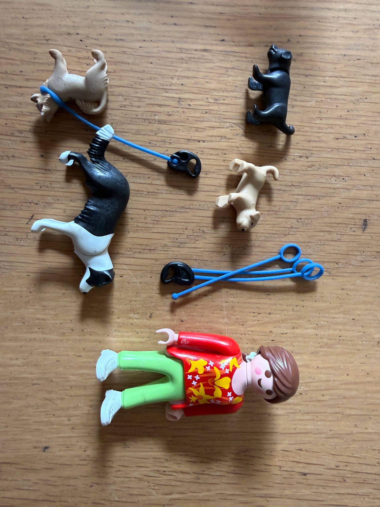 Playmobil Dog Walker