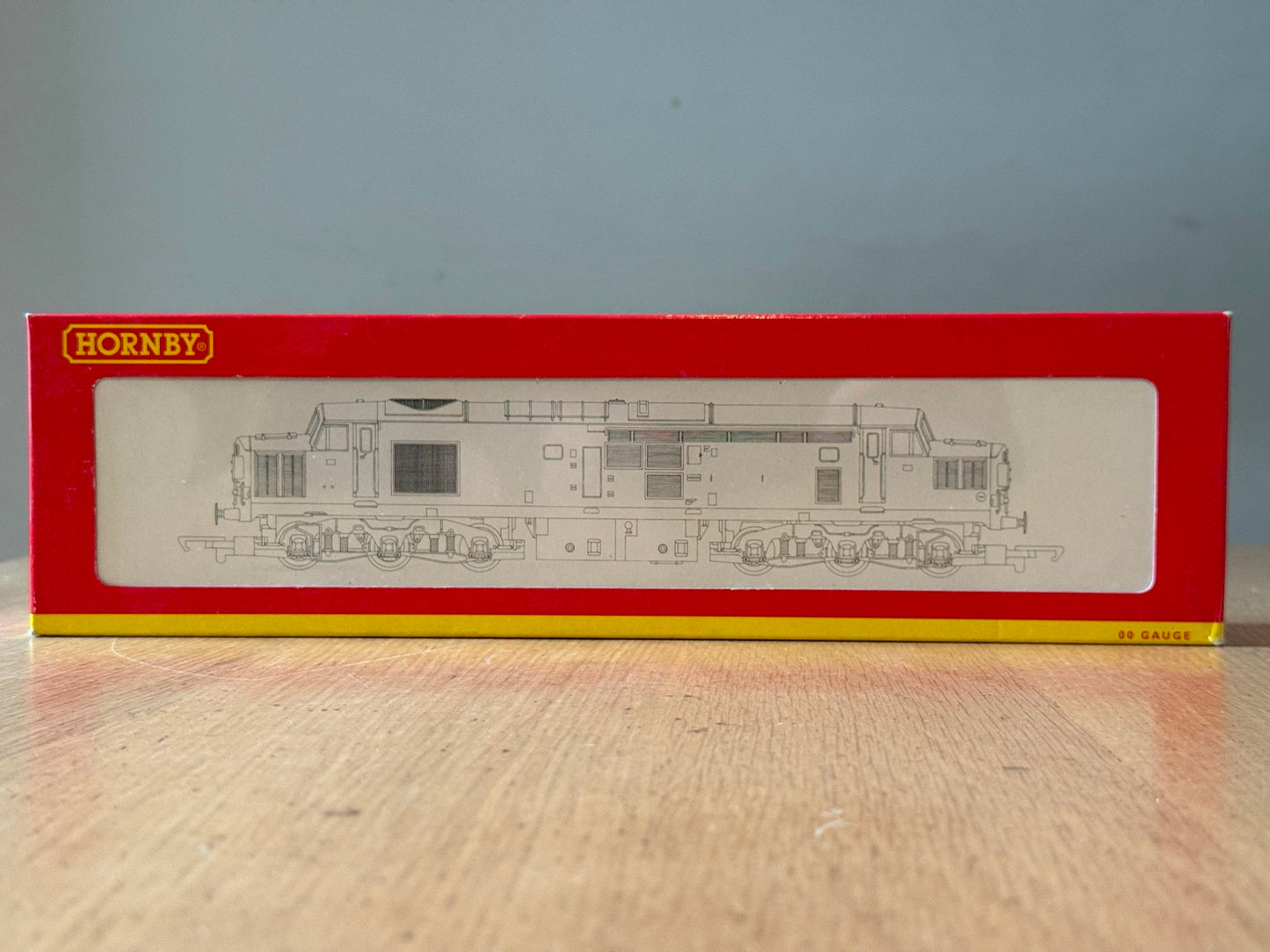 Hornby OO R2409 Class 37 37410 'Aluminium 100' Transrail Livery. Weathered BNIB.